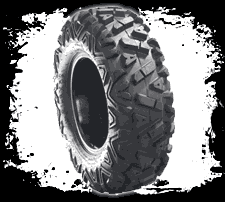 rzr tires